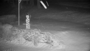 Chata Myslivna SKP Olomouc - Běžecký lyžařský areál Nová Ves - horní část - 30.12.2025 v 03:30 Chata Myslivna SKP Olomouc - Běžecký lyžařský areál Nová Ves - horní část - 30.12.2025 v 03:30