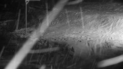 Běžecký lyžařský areál Nová Ves - horní část