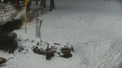 Běžecký lyžařský areál Nová Ves - horní část