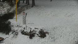 Běžecký lyžařský areál Nová Ves - horní část