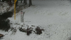 Běžecký lyžařský areál Nová Ves - horní část