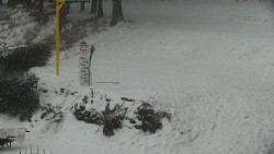 Běžecký lyžařský areál Nová Ves - horní část