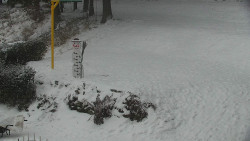 Běžecký lyžařský areál Nová Ves - horní část