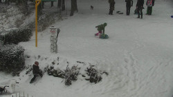 Běžecký lyžařský areál Nová Ves - horní část