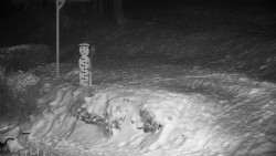 Běžecký lyžařský areál Nová Ves - horní část