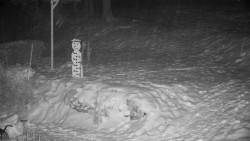 Běžecký lyžařský areál Nová Ves - horní část