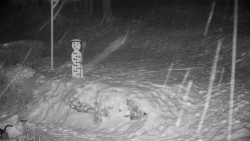 Běžecký lyžařský areál Nová Ves - horní část