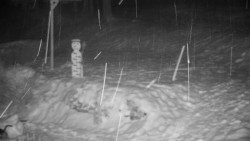 Běžecký lyžařský areál Nová Ves - horní část