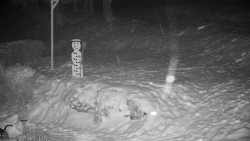 Běžecký lyžařský areál Nová Ves - horní část