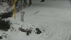 Běžecký lyžařský areál Nová Ves - horní část