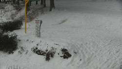 Běžecký lyžařský areál Nová Ves - horní část