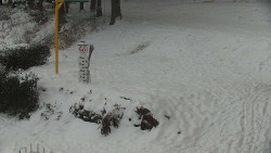 Běžecký lyžařský areál Nová Ves - horní část