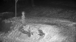 Běžecký lyžařský areál Nová Ves - horní část