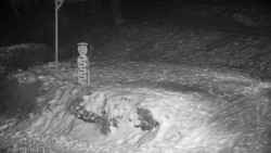 Běžecký lyžařský areál Nová Ves - horní část