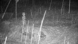 Běžecký lyžařský areál Nová Ves - horní část