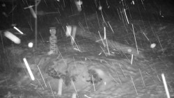 Běžecký lyžařský areál Nová Ves - horní část