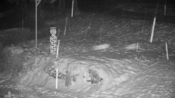 Běžecký lyžařský areál Nová Ves - horní část