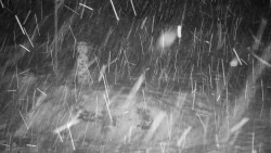 Běžecký lyžařský areál Nová Ves - horní část