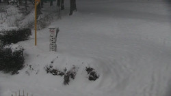 Běžecký lyžařský areál Nová Ves - horní část