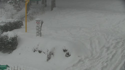 Běžecký lyžařský areál Nová Ves - horní část