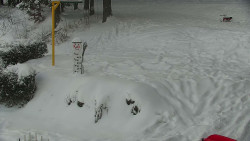 Běžecký lyžařský areál Nová Ves - horní část