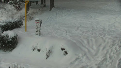 Běžecký lyžařský areál Nová Ves - horní část