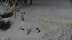 Běžecký lyžařský areál Nová Ves - horní část