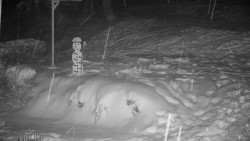 Běžecký lyžařský areál Nová Ves - horní část