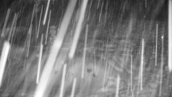 Běžecký lyžařský areál Nová Ves - horní část