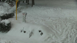 Běžecký lyžařský areál Nová Ves - horní část