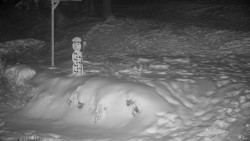 Běžecký lyžařský areál Nová Ves - horní část