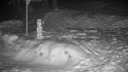 Běžecký lyžařský areál Nová Ves - horní část