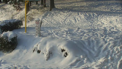 Běžecký lyžařský areál Nová Ves - horní část