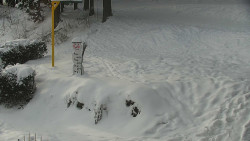 Běžecký lyžařský areál Nová Ves - horní část