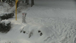 Běžecký lyžařský areál Nová Ves - horní část