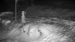 Běžecký lyžařský areál Nová Ves - horní část