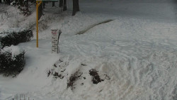 Běžecký lyžařský areál Nová Ves - horní část