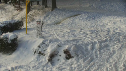 Běžecký lyžařský areál Nová Ves - horní část