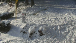 Běžecký lyžařský areál Nová Ves - horní část