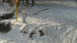 Běžecký lyžařský areál Nová Ves - horní část