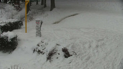 Běžecký lyžařský areál Nová Ves - horní část