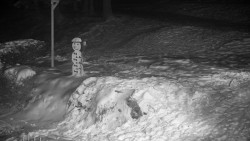 Běžecký lyžařský areál Nová Ves - horní část