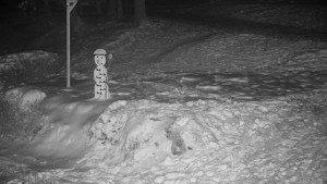 Chata Myslivna SKP Olomouc - Běžecký lyžařský areál Nová Ves - horní část - 7.1.2026 v 00:30 Chata Myslivna SKP Olomouc - Běžecký lyžařský areál Nová Ves - horní část - 7.1.2026 v 00:30