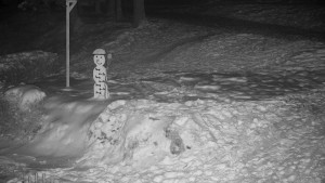 Chata Myslivna SKP Olomouc - Běžecký lyžařský areál Nová Ves - horní část - 7.1.2026 v 01:30 Chata Myslivna SKP Olomouc - Běžecký lyžařský areál Nová Ves - horní část - 7.1.2026 v 01:30