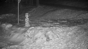 Chata Myslivna SKP Olomouc - Běžecký lyžařský areál Nová Ves - horní část - 7.1.2026 v 02:00 Chata Myslivna SKP Olomouc - Běžecký lyžařský areál Nová Ves - horní část - 7.1.2026 v 02:00