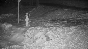 Chata Myslivna SKP Olomouc - Běžecký lyžařský areál Nová Ves - horní část - 7.1.2026 v 03:00 Chata Myslivna SKP Olomouc - Běžecký lyžařský areál Nová Ves - horní část - 7.1.2026 v 03:00