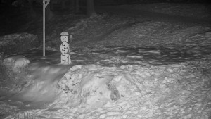 Chata Myslivna SKP Olomouc - Běžecký lyžařský areál Nová Ves - horní část - 7.1.2026 v 04:00 Chata Myslivna SKP Olomouc - Běžecký lyžařský areál Nová Ves - horní část - 7.1.2026 v 04:00