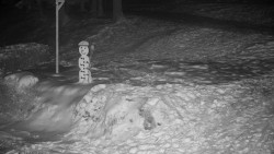 Běžecký lyžařský areál Nová Ves - horní část