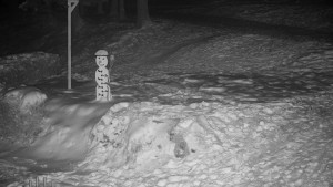 Chata Myslivna SKP Olomouc - Běžecký lyžařský areál Nová Ves - horní část - 7.1.2026 v 06:00 Chata Myslivna SKP Olomouc - Běžecký lyžařský areál Nová Ves - horní část - 7.1.2026 v 06:00