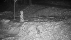 Běžecký lyžařský areál Nová Ves - horní část